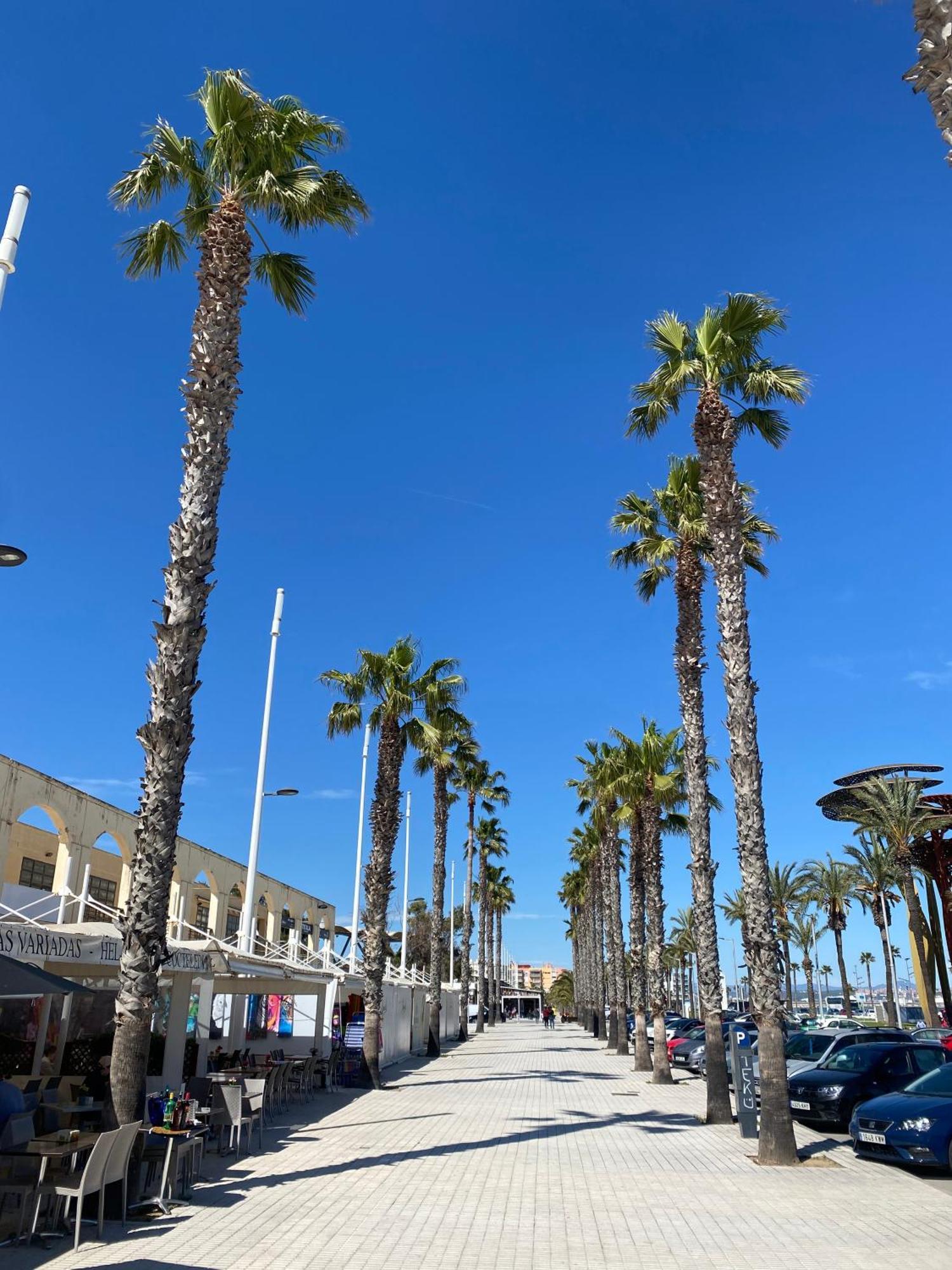 Apartment 13199, Next To The Beach In The Sun, Building Dms-2 La Pineda Eksteriør bilde